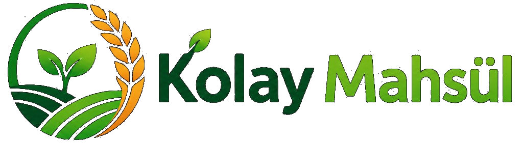 Kolay Mahsül